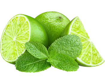 Mojito Mojito